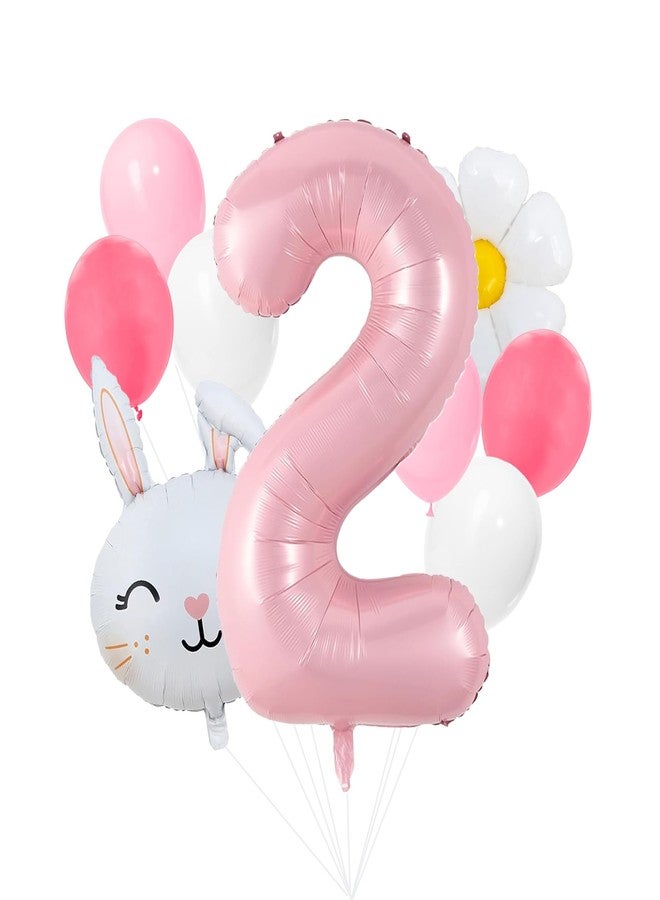 100% LIKED-Some Bunny Is Two, Easter Themed 2nd Birthday Party Decorations, Happy Birthday Banner, Easter Rabbit Themed Baby Girls Second Birthday Supplies, Bunny Deco (2nd) - Image 1